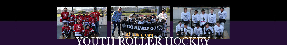 Cage Youth Roller Hockey