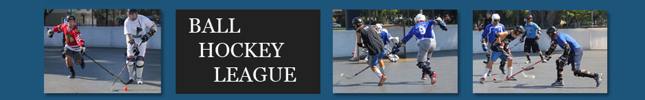 Hockey Leagues at Nor-Cal Inline Hockey Rink » Where do I take the